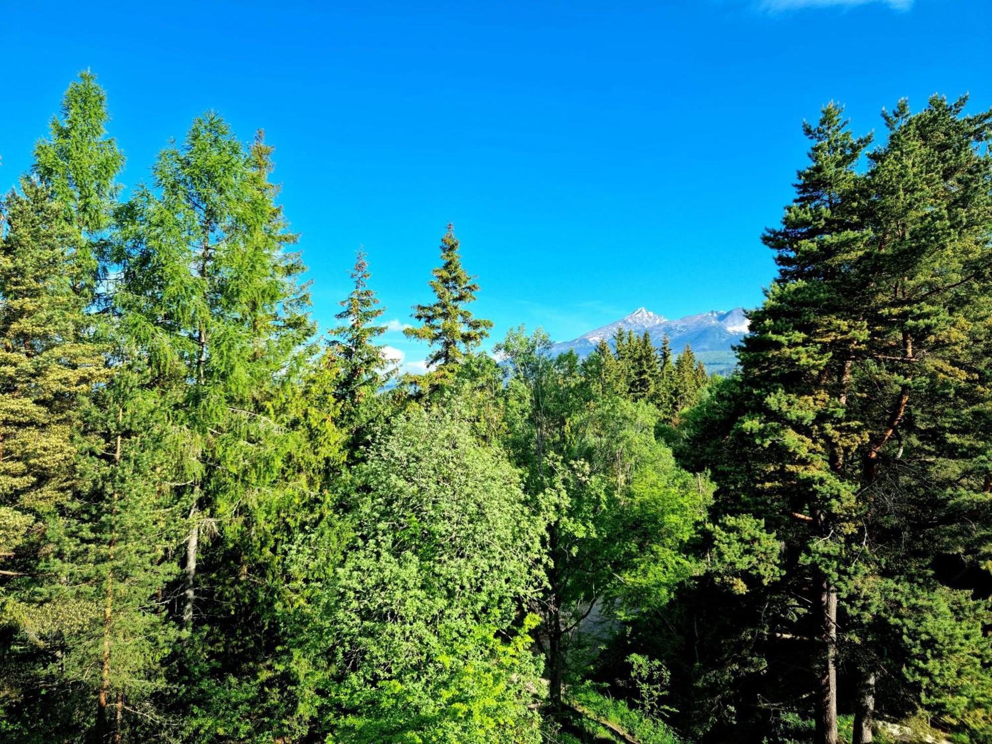 Apartment Monte Amnis Štrbské Pleso